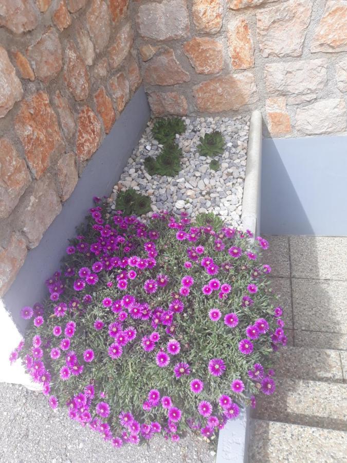 Villa Mihaela - Apartment Ana Cesarica Exteriér fotografie